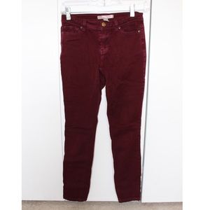 Maroon Pants